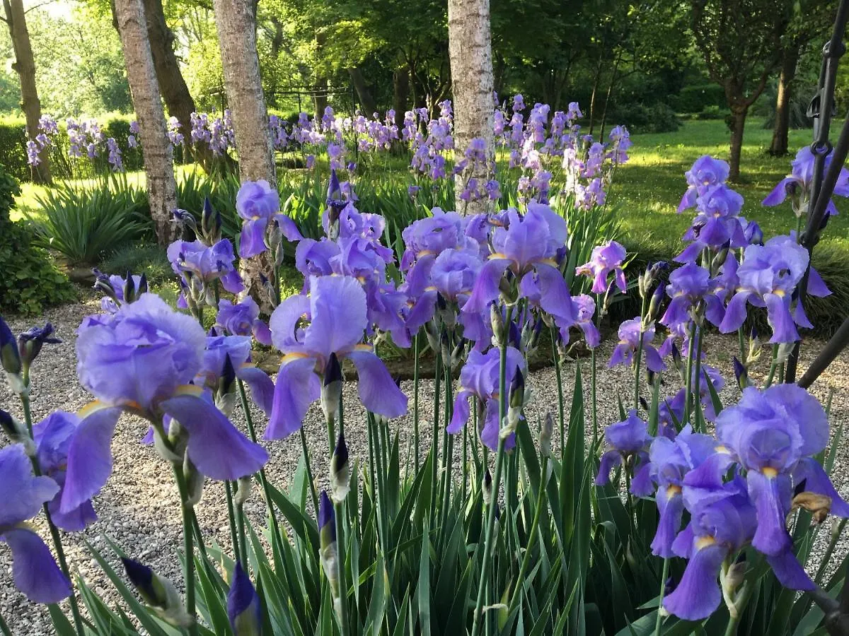 B&B Maison Parco Del Brenta Curtarolo Italia
