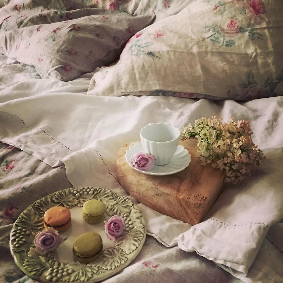 B&B Maison Parco Del Brenta Curtarolo Bed & Breakfast