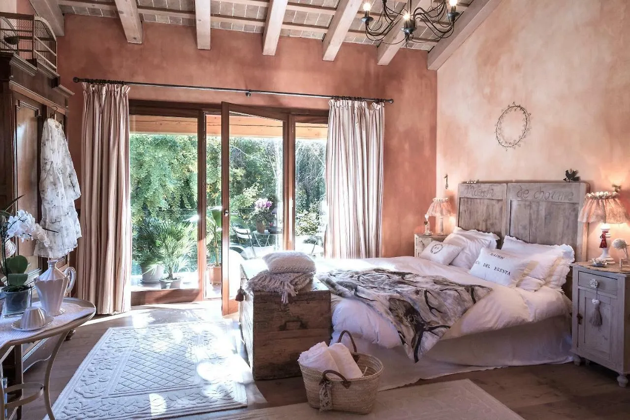 Bed & Breakfast B&B Maison Parco Del Brenta Curtarolo Italia
